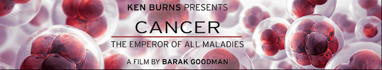 Cancer: The Emperor of All Maladies