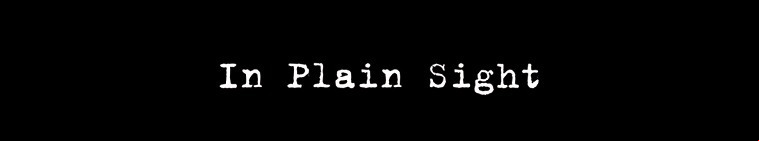 In Plain Sight (2016)